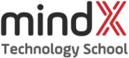 MindX